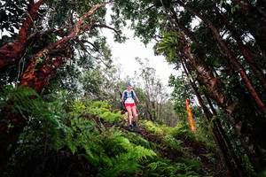 BIB: 
                            <button type="button" onclick="openModal(26202372)" class="btn btn-primary btn-sm float-right btn-popup" data-toggle="modal" data-target=".modal-high-quality">
                        <i class="fas fa-shopping-cart"></i> Add to Cart
                    </button>
                                            <button type="button" onclick="isThisMe(26202372, true)" class="btn btn-success btn-sm float-right btn-popup btn-isme hidden" data-toggle="tooltip" data-placement="bottom" title="นี่คือรูปของคุณใช่ไหม คลิกที่นี่เพื่อเอาเข้าอัลบั้ม">
                        <i class="fas fa-plus"></i> Add to album
                    </button>
                    <button type="button" onclick="isThisMe(26202372, false)" class="btn btn-warning btn-sm float-right btn-popup btn-isnotme hidden">
                        <i class="fas fa-ban"></i> Remove from album
                    </button>